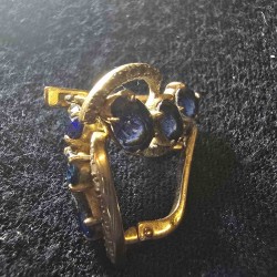 Kuld kõrvarõngad...