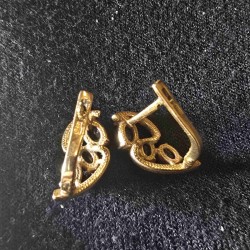 Kuld kõrvarõngad...