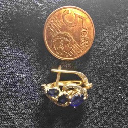 Kuld kõrvarõngad...