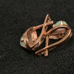 Kuld kõrvarõngad...