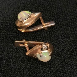 Kuld kõrvarõngad...