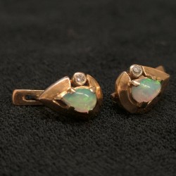 Kuld kõrvarõngad...