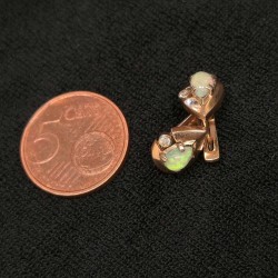 Kuld kõrvarõngad...