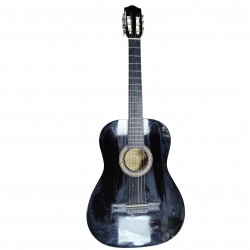 Kitaar MSA Must + Kott