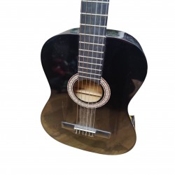 Kitaar MSA Must + Kott