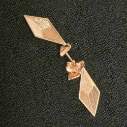 Kuld kõrvarõngad 585 proov...