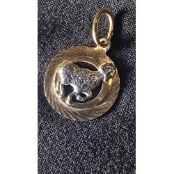 Kuld ripats 585 proov (№L1173)