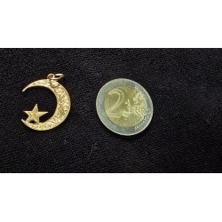 Kuld ripats 585 proov (№L1219)