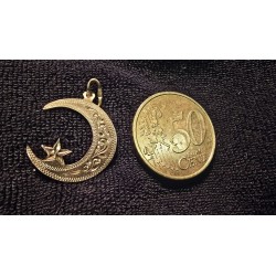 Kuld ripats 583 proov (№L1244)