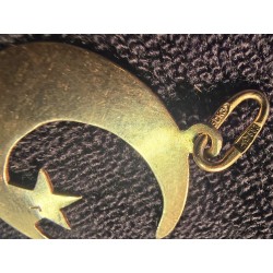 Kuld ripats 583 proov (№L1244)