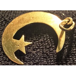 Kuld ripats 583 proov (№L1244)